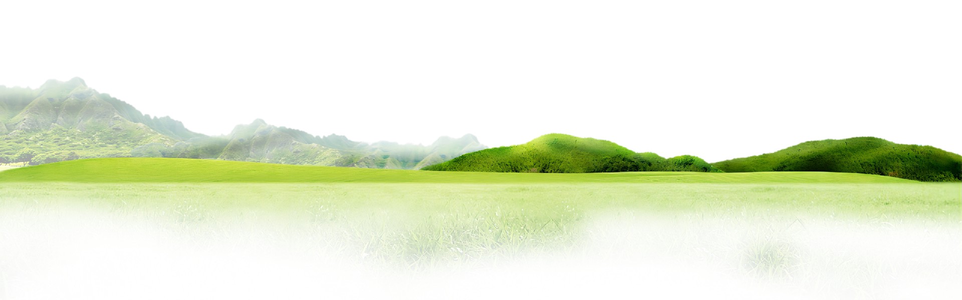 公開(kāi)公示